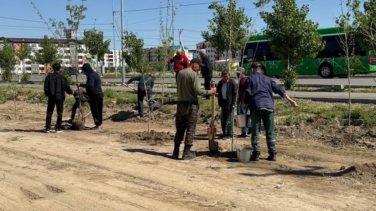 Тараз қаласы "Таза Қазақстан" акциясы аясында тал көшеттері егілді