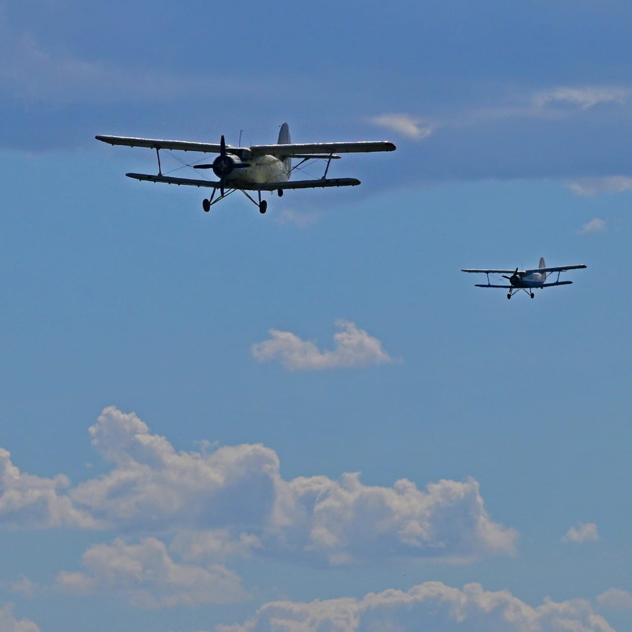 Павлодар облысында шыбын-шіркейге қарсы ауқымды өңдеу жұмыстары басталады
