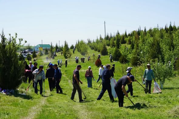 ТАЗА ҚАЗАҚСТАН: ҚАЗЫҒҰРТТА 1 000 ТҮП АҒАШ ЕГІЛІП, АУҚЫМДЫ СЕНБІЛІККЕ 10000 АДАМ ҚАТЫСТЫ