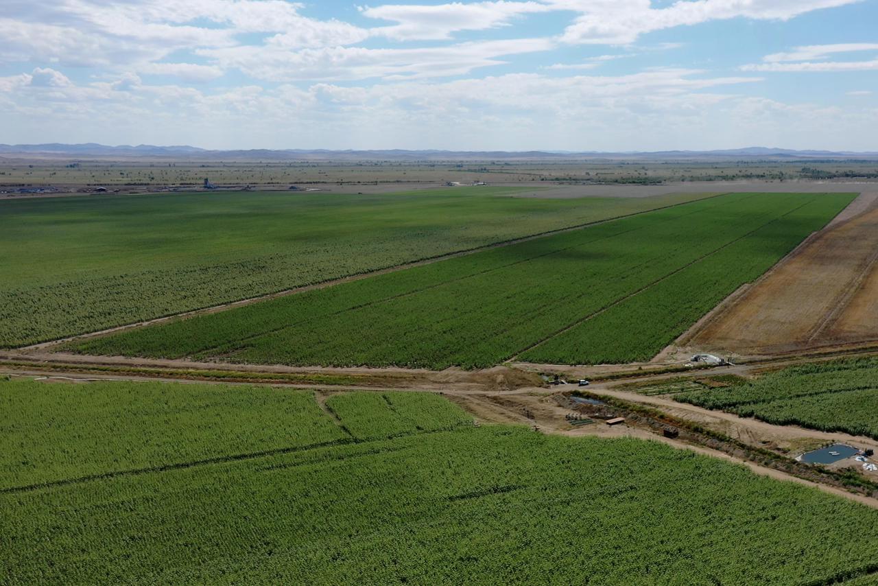 Әкімдік отырысы өтті