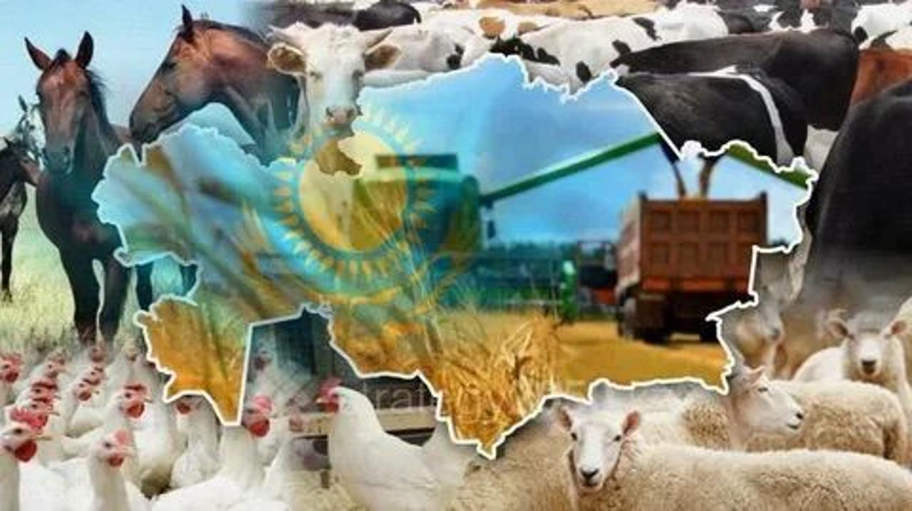2025 жылы Абай облысының мал шаруашылығының дамуы туралы