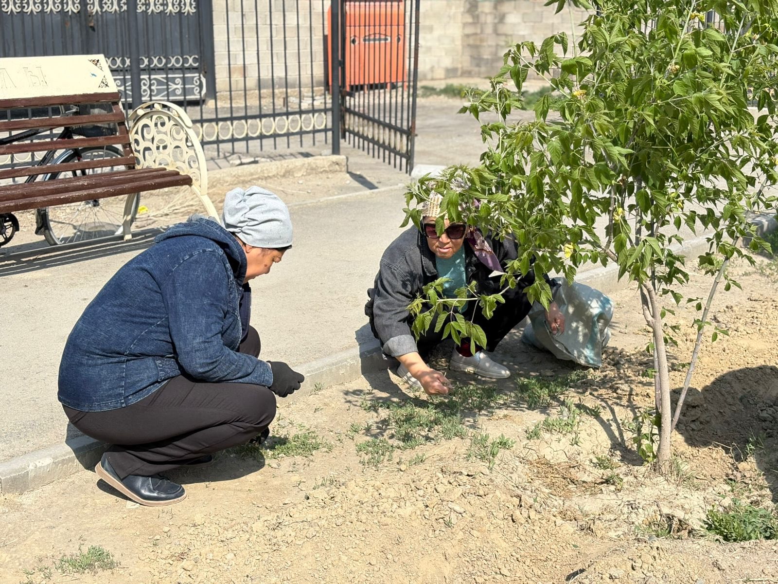 «Таза Қазақстан»: қоршаған ортаны қорғау - тұрақты күн тәртібінде