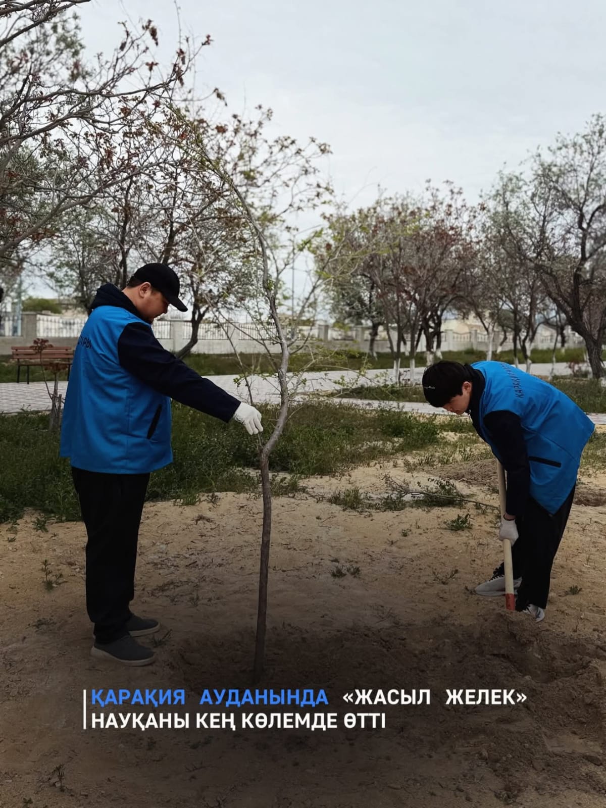 Қарақия ауданында «Жасыл желек» науқаны кең көлемде өтті