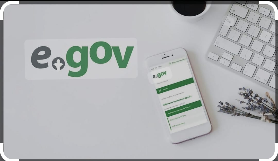 ЭЛЕКТРОНДЫҚ МЕМЛЕКЕТТІК ҚЫЗМЕТТЕРДІ НАСИХАТТАУ