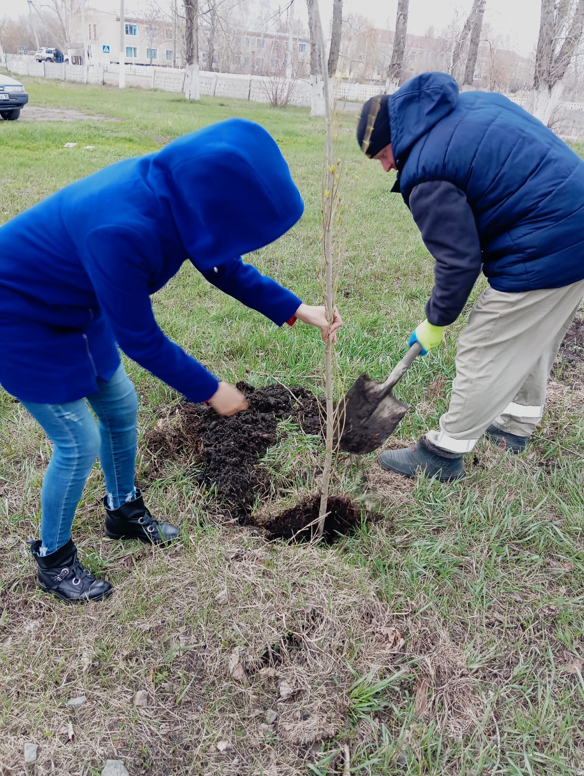 25 сәуір күні Қостряковка ауылында «Таза Қазақстан» экологиялық бағдарламасы аясында ағаш отырғызу жұмыстары ұйымдастырылды.