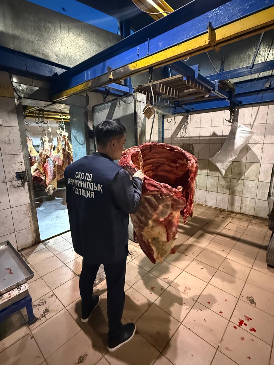 СҚО-да сатып алушының қырағылығы мал ұрлығын жедел ашуға көмектесті