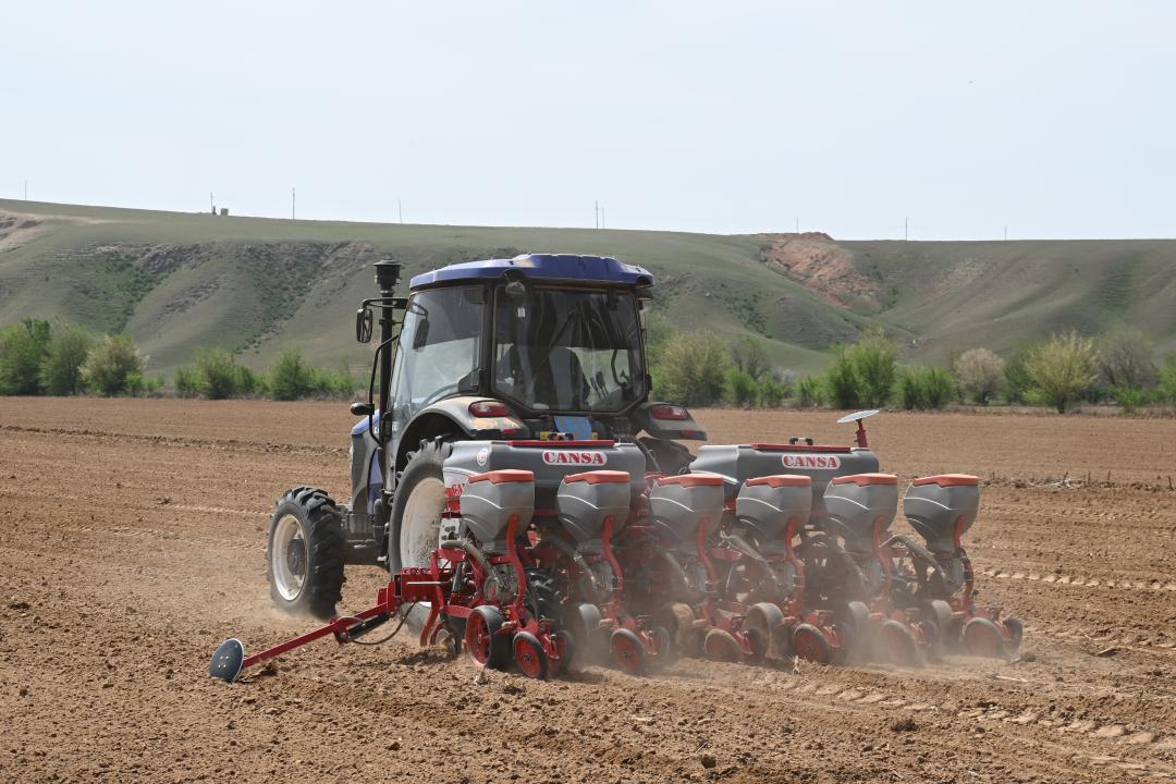 Жетісуда шаруашылықтар егістікке жаңа агротехнологияларды енгізуде