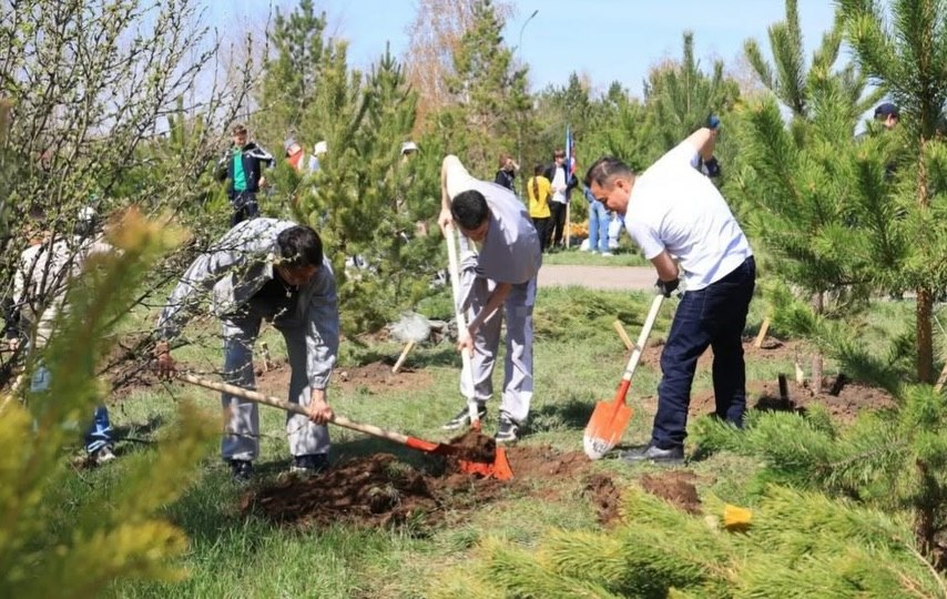 «Таза Қазақстан» жалпыұлттық акциясы 🌳