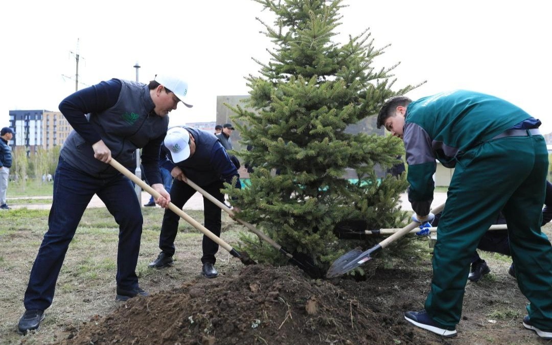 Ақтөбе өңірі республикалық ағаш отырғызу акциясына қолдау білдірді
