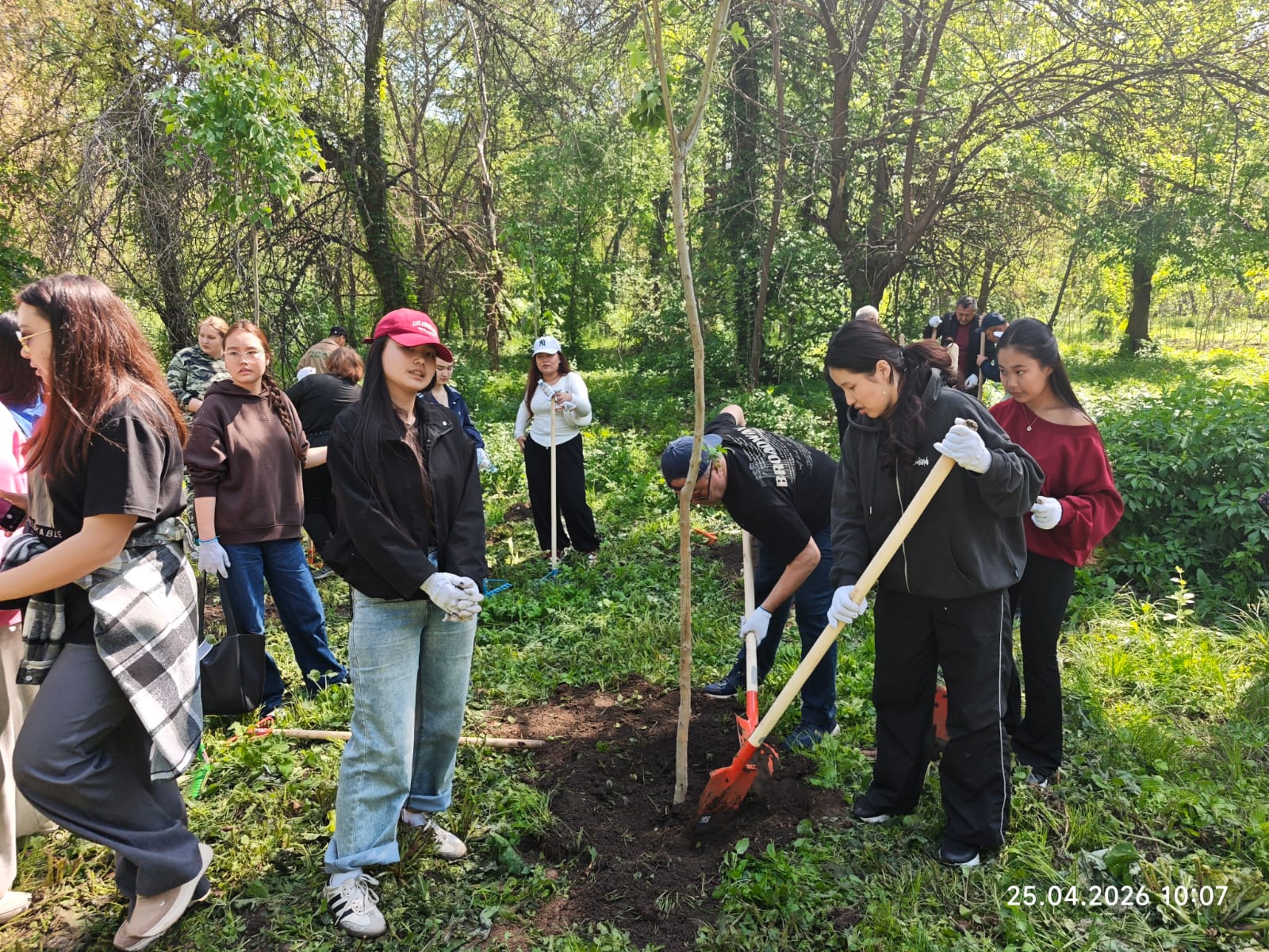 «Таза Қазақстан» аясындағы ауқымды сенбілікке 7400 адам қатысты