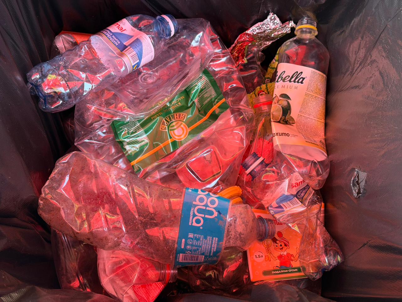 В рамках экоакции «Зеленый сбор» жители Алматы и Алматинской области сдали более 200 кг вторсырья и опасных отходов