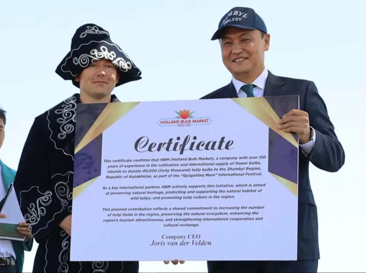 «Қызғалдақ мұра» халықаралық фестивалі: Нидерланд Корольдігі Жамбыл облысына 40 мың түп қызғалдақ сыйлады