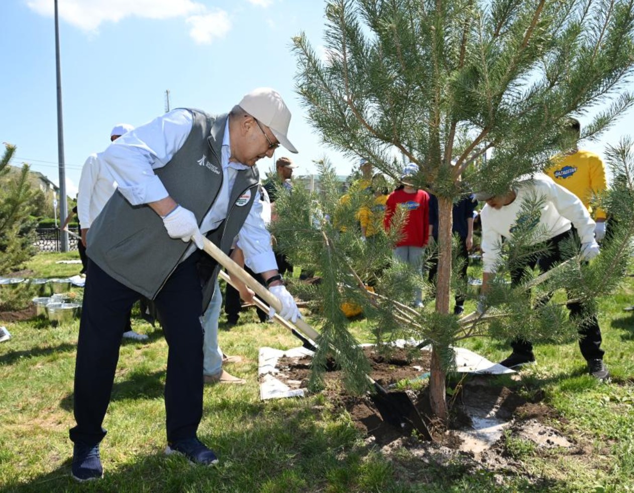 «Жасыл желек» республикалық акциясы: Жетісуда 8 мыңнан астам ағаш отырғызылды