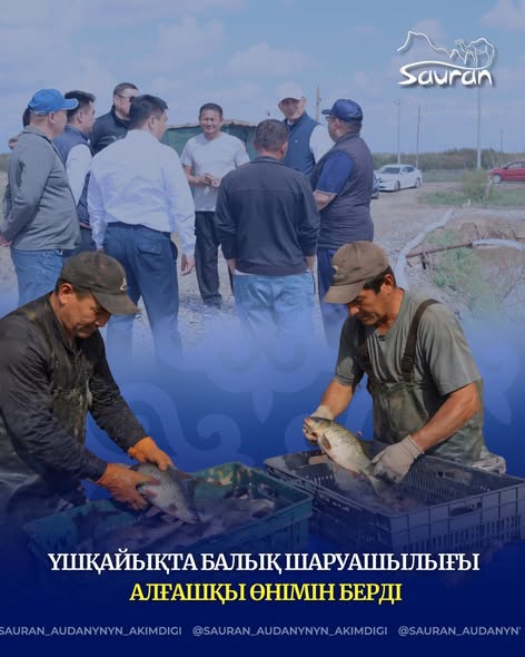 ҮШҚАЙЫҚТА БАЛЫҚ ШАРУАШЫЛЫҒЫ АЛҒАШҚЫ ӨНІМІН БЕРДІ