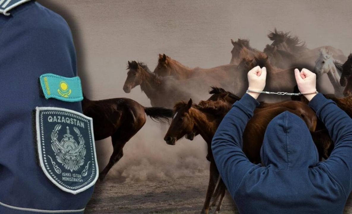 ІІМ мал контрабандасының арнасын жойды: шамамен 1000 бас мал елден шығарылмады