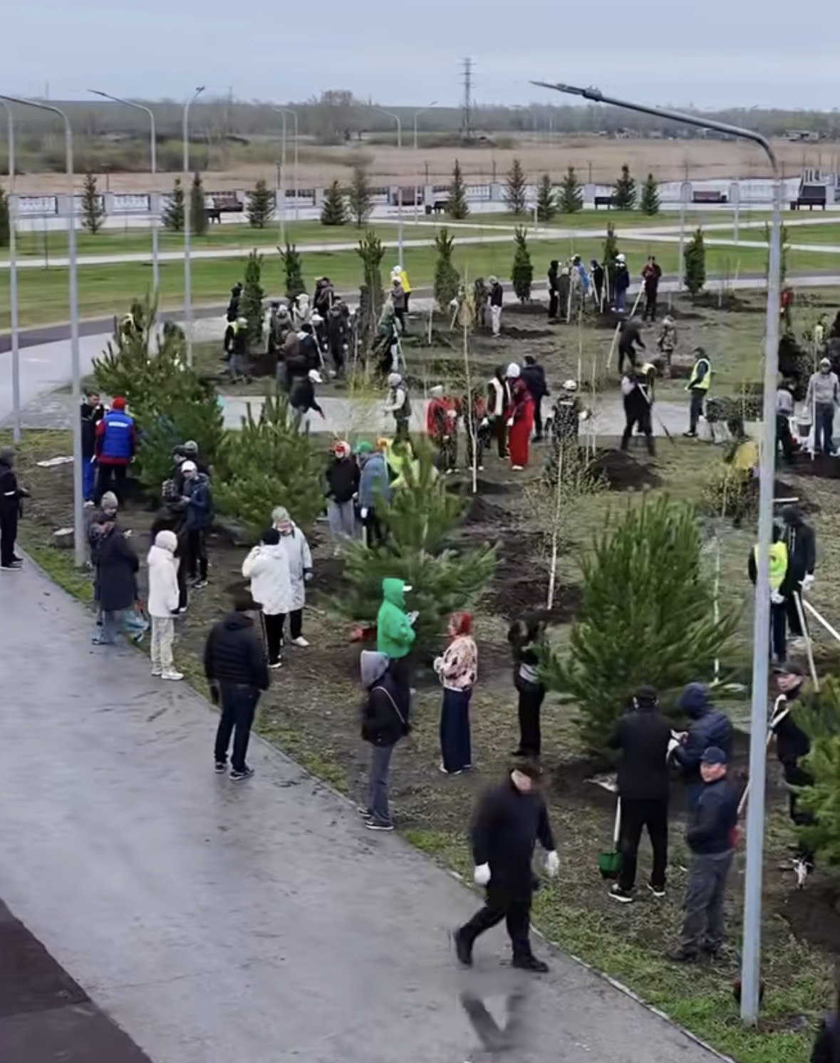 “Таза Қазақстан” бағдарламасы аясында ауқымды көгалдандыру акциясы басталды