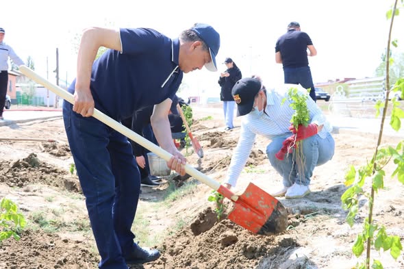 "Таза Қазақстан" акциясы аясында тал егу іс-шарасы өтті