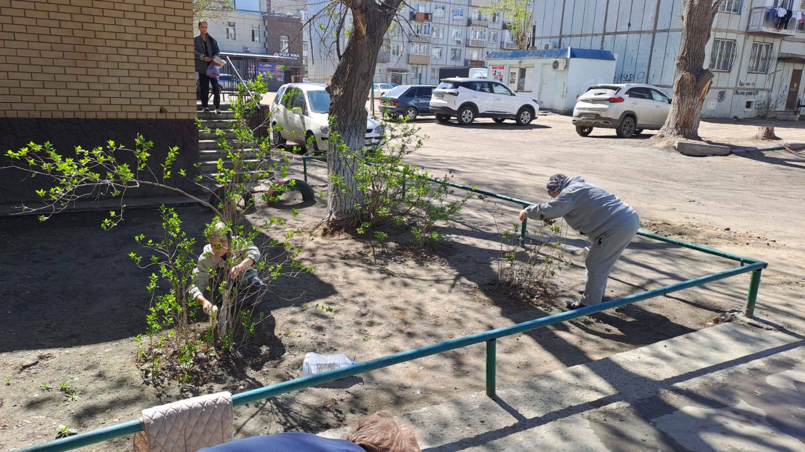 Жители левого берега – за чистый двор