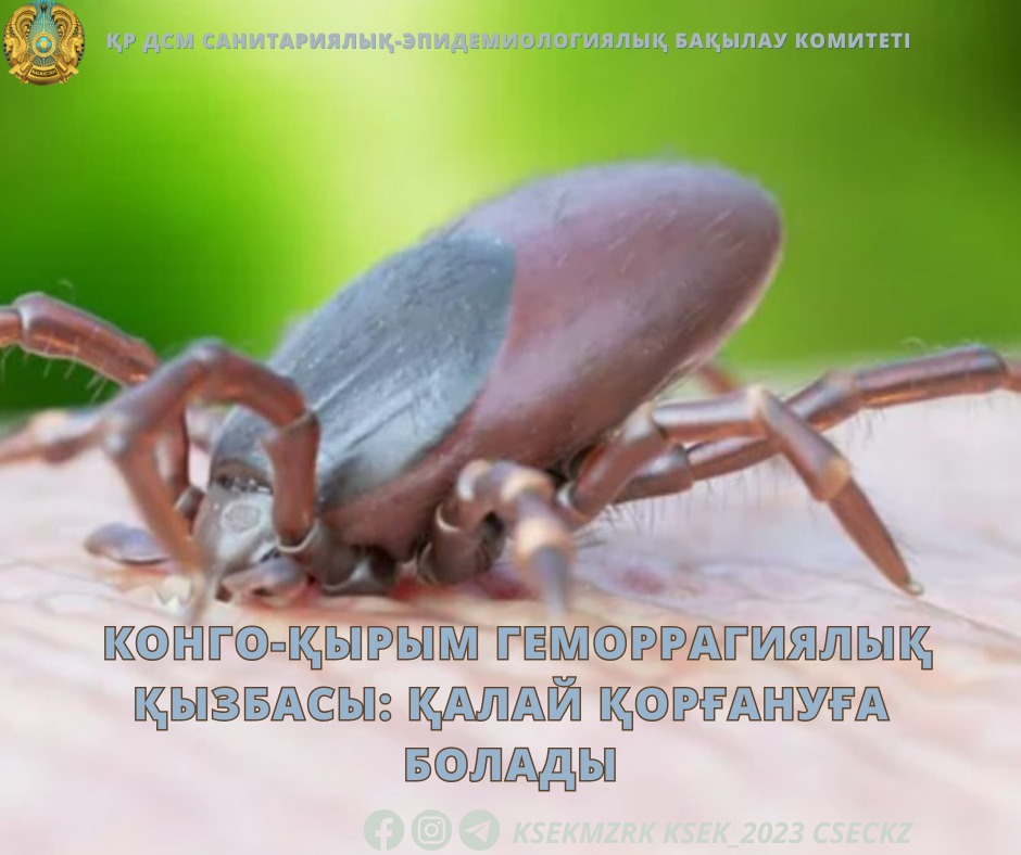 Конго-Қырым геморрагиялық қызбасы: қалай қорғануға болады