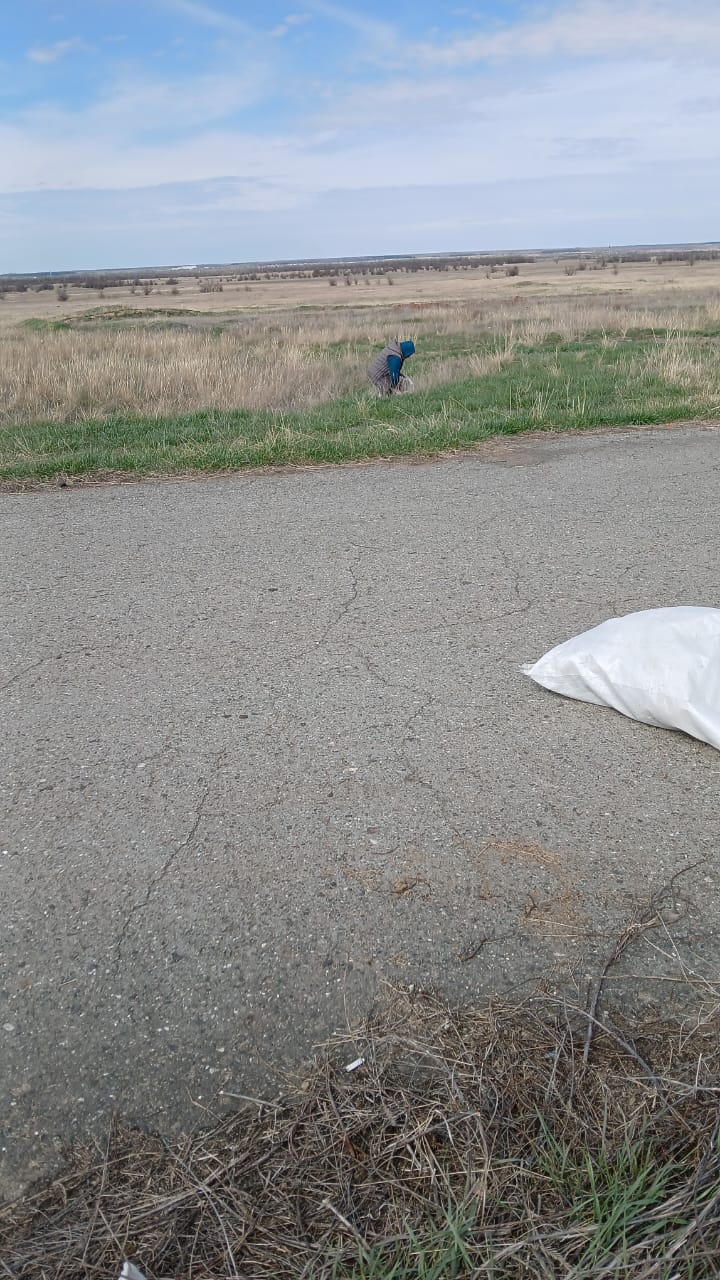 Тазалық шақырымдары