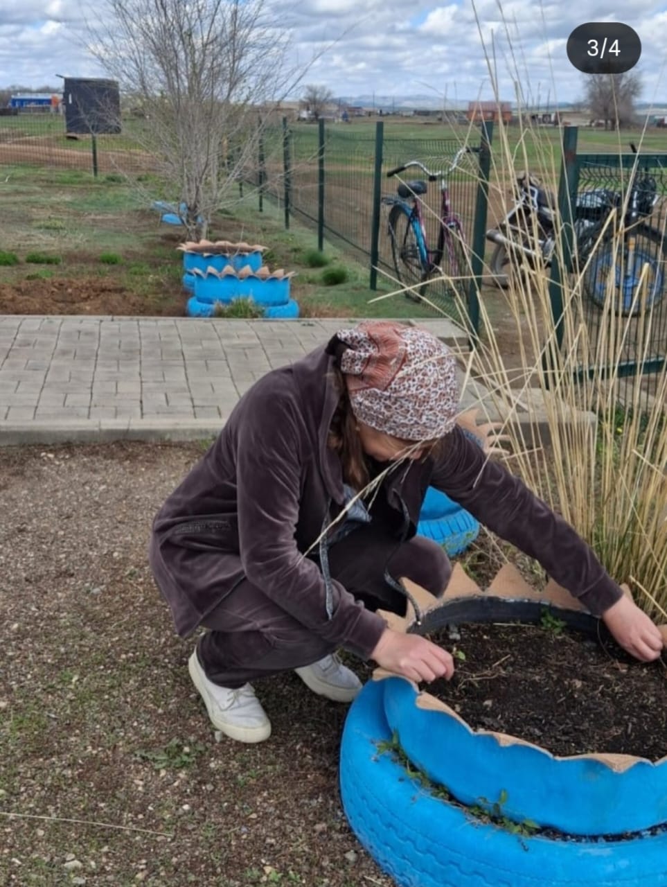 Республикалық ағаш егу акциясы