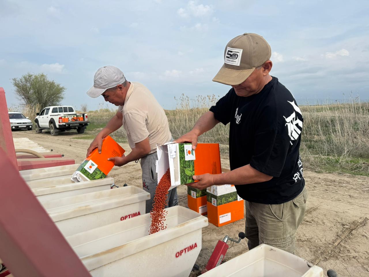 Сарқан ауданында қант қызылшасын себу жұмыстары қарқынды жүргізілуде
