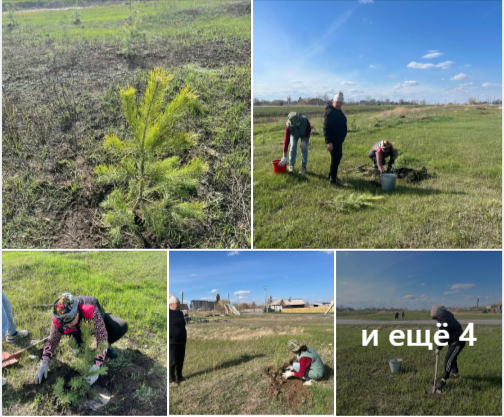 "Жасыл болашақ" сенбілігі