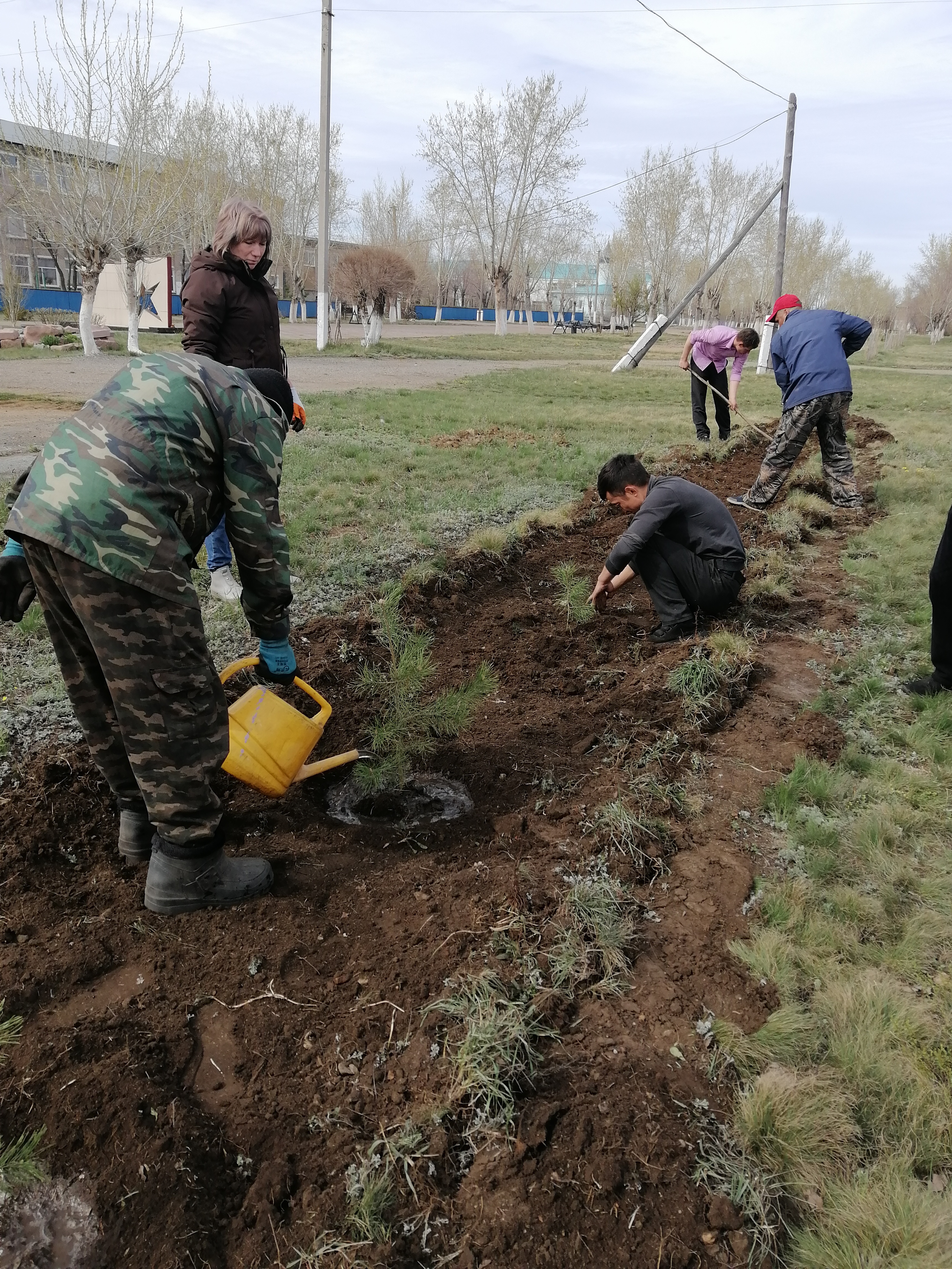 Көгалдандыру