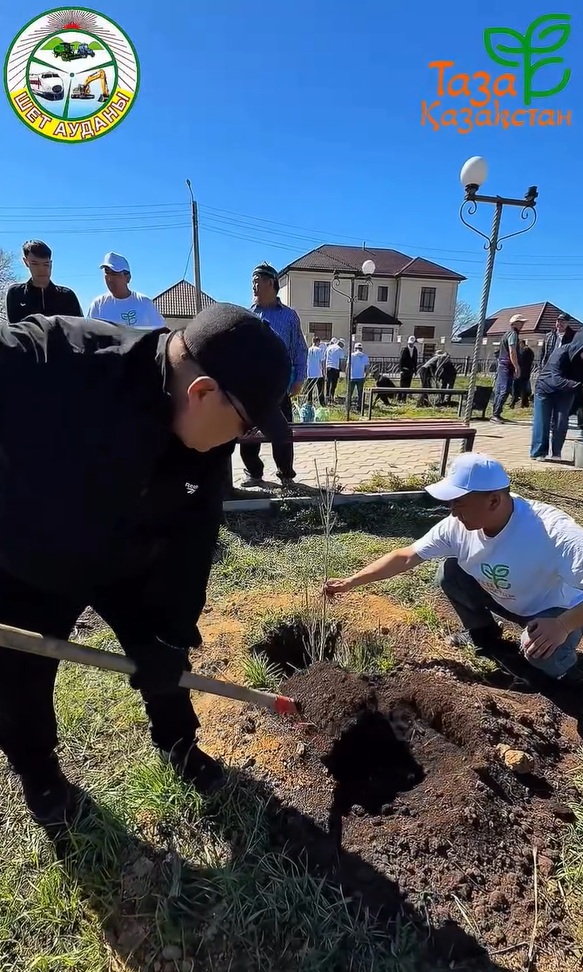 Қазақстан Республикасы көлемінде жүзеге асырылып жатқан «Таза Қазақстан» экологиялық акциясы аясында Шет ауданы аумағында тал отырғызу жұмыстары ұйымдастырылды