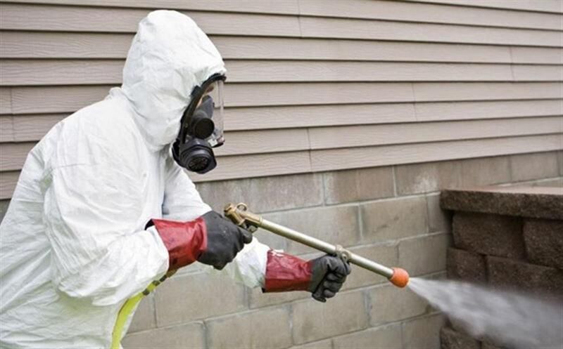 Борьба с грызунами будет проводиться в два сезона в Астане