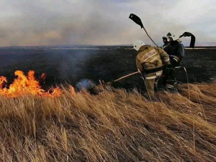 ДАЛА ӨРТІНІҢ АЛДЫН АЛАЙЫҚ!