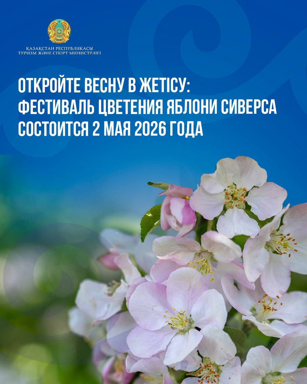 Откройте весну в Жетісу: фестиваль цветения яблони Сиверса состоится 2 мая 2026 года