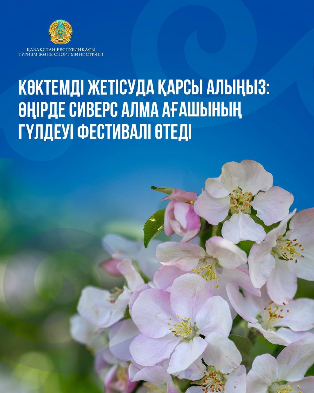 Көктемді Жетісуда қарсы алыңыз: өңірде Сиверс алма ағашының гүлдеуі фестивалі өтеді