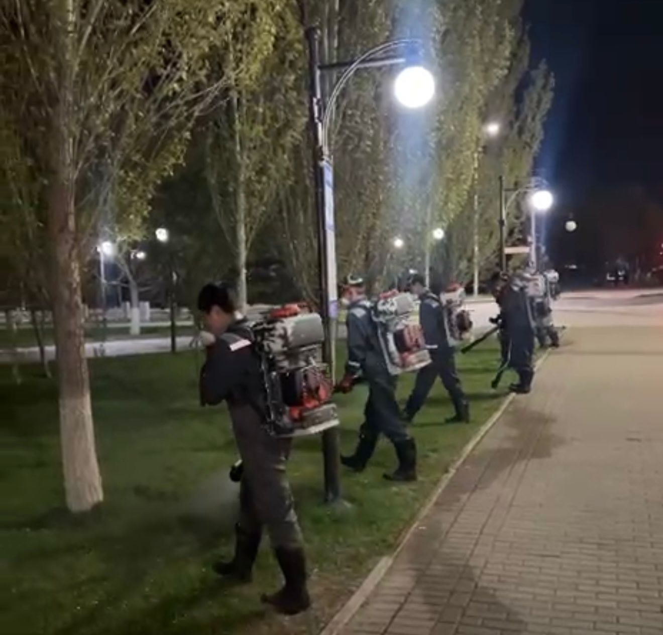 Елордада дезинсекцияның бірінші кезеңі басталды: мыңдаған гектар өңделді