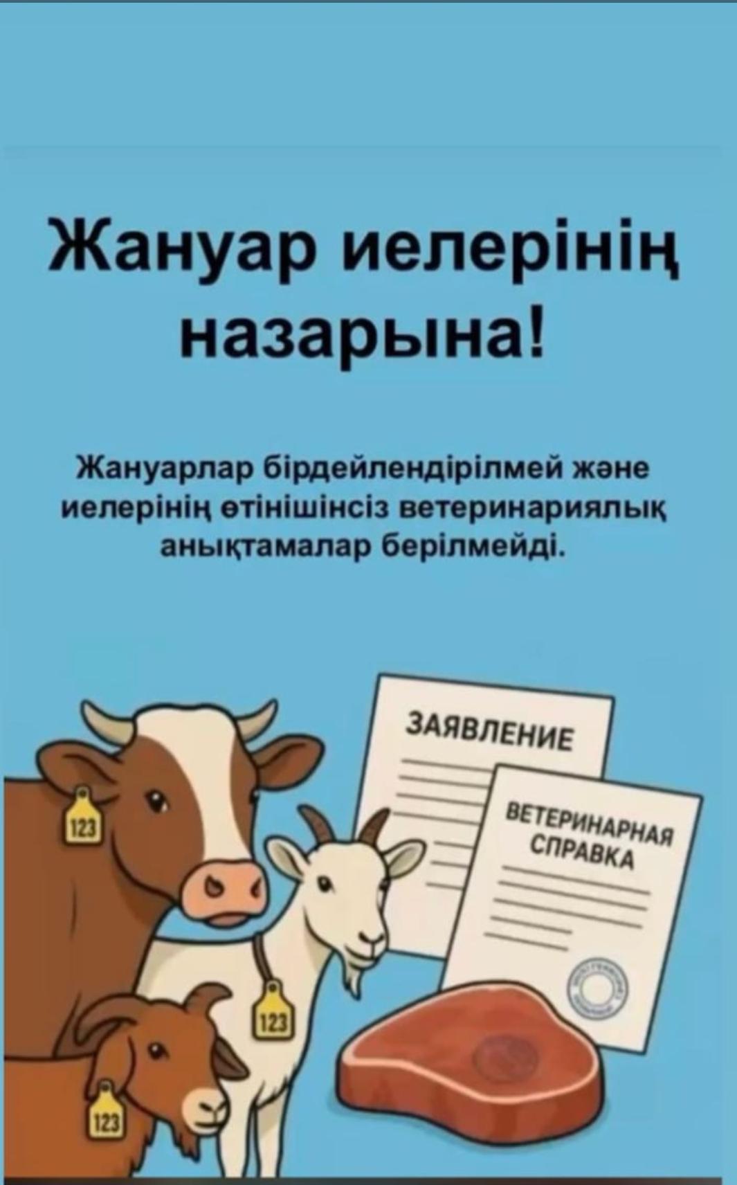 Жануарлар иелерінің назарына! Жануарлар бірдейлендірілмей және иелерінің өтінішінсіз ветеринариялық анықтамалар берілмейді.
