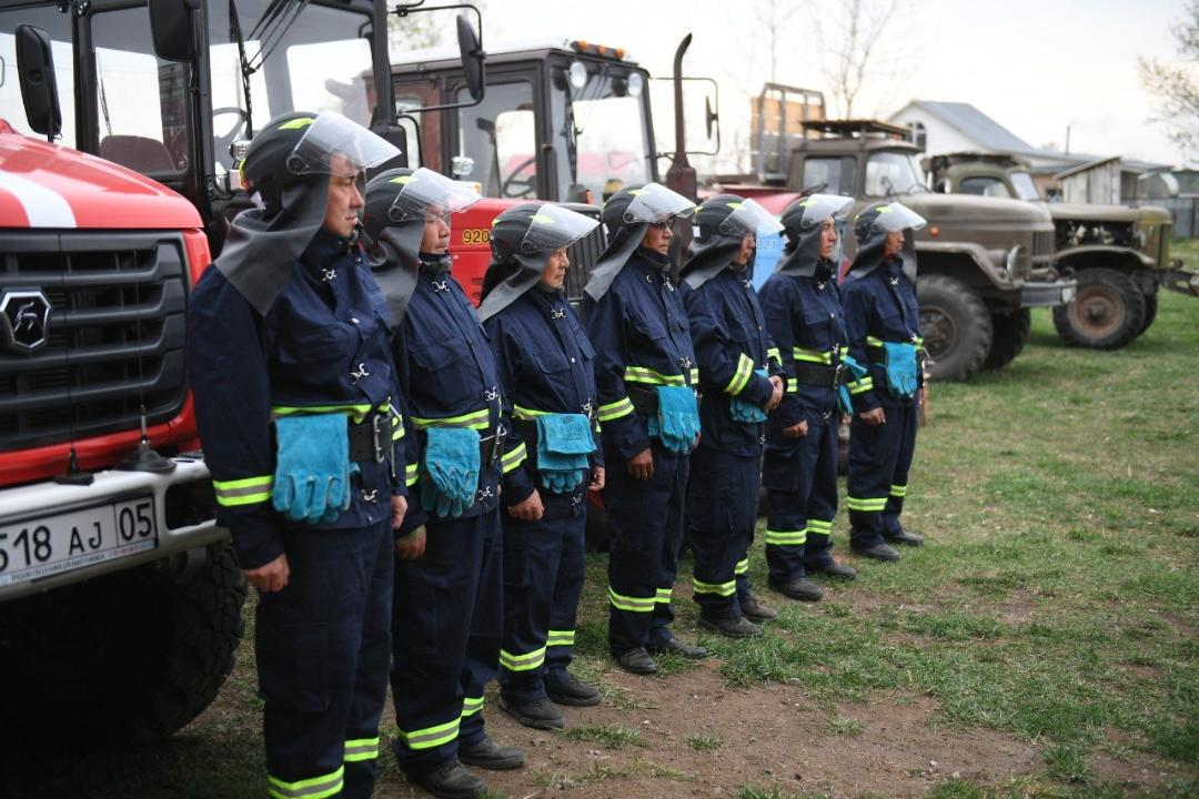 Лесной фонд в Алматинской области расширяется