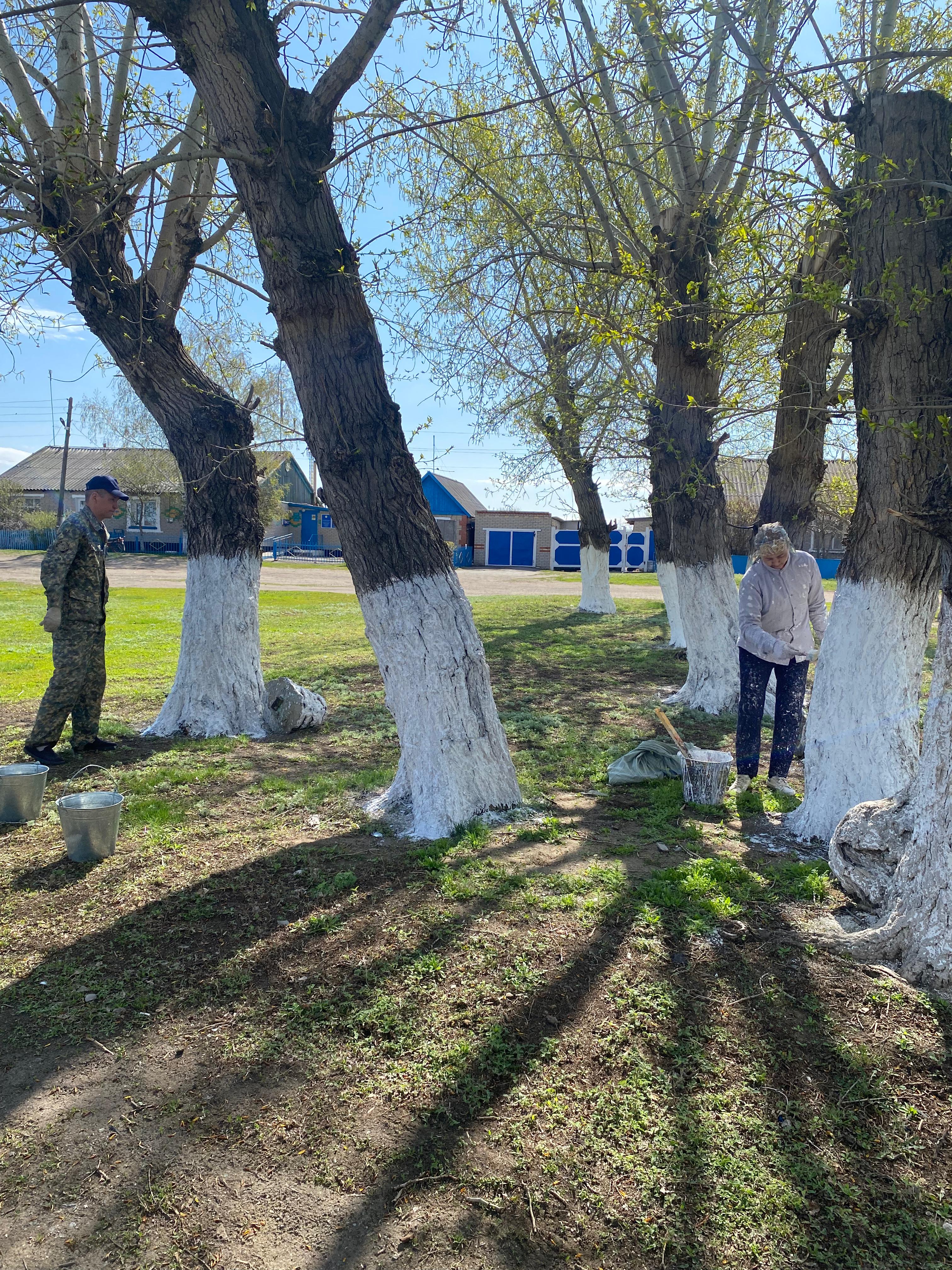 ТАЗА ҚАЗАҚСТАН