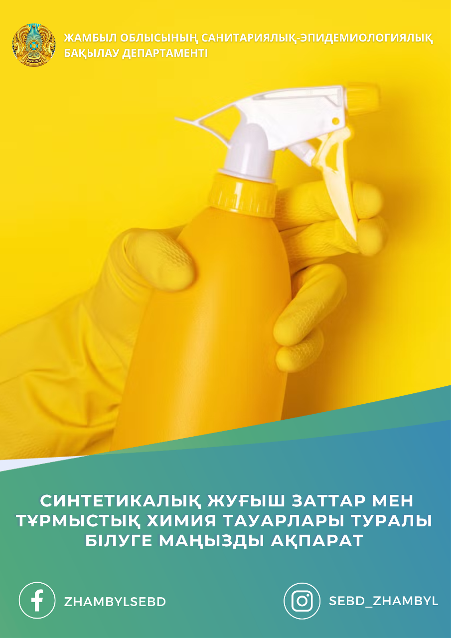 Синтетикалық жуғыш заттар мен тұрмыстық химия тауарлары туралы білуге маңызды ақпарат