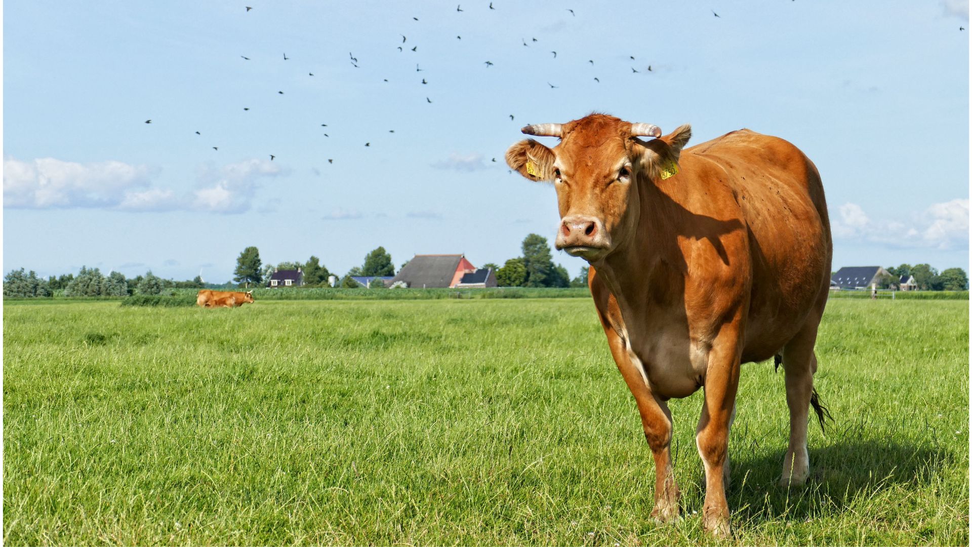 Құрметті Атырау облысының тұрғындары мен қонақтары!