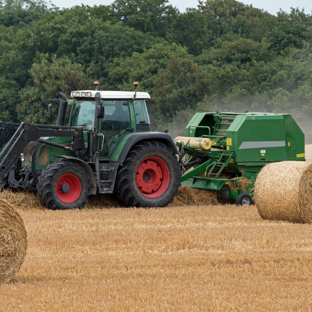 Стартует прием заявок по программам «Свои корма» и «Льготный лизинг»