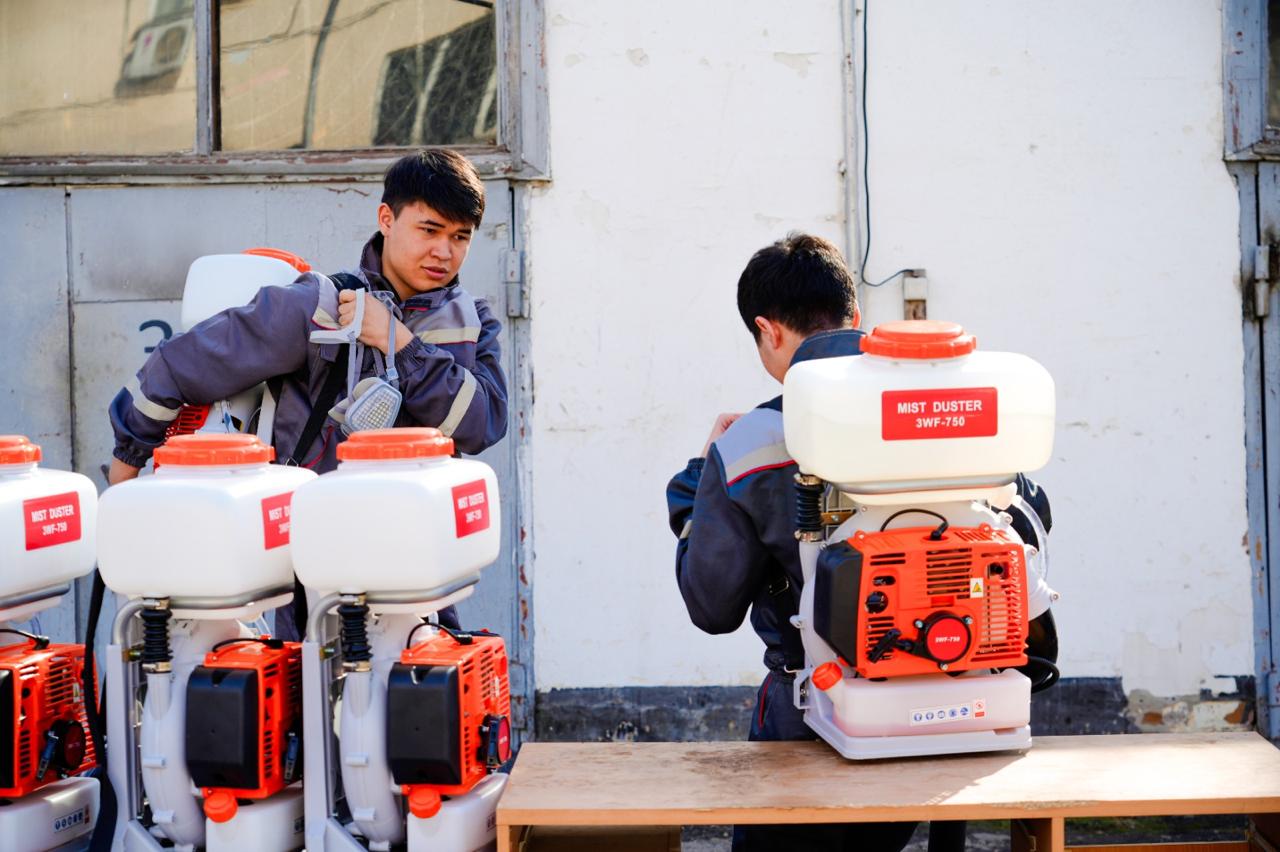 Как будут бороться с комарами и мошками в Астане