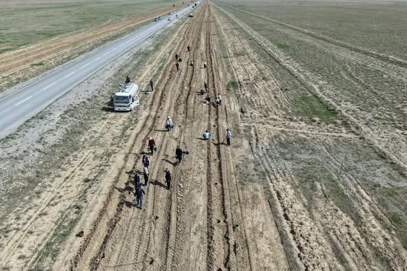 ТҮРКІСТАН: СОЗАҚТА «ЖАСЫЛ БЕЛДЕУ» АУМАҒЫ 3 ШАҚЫРЫМҒА ҰЛҒАЙДЫ