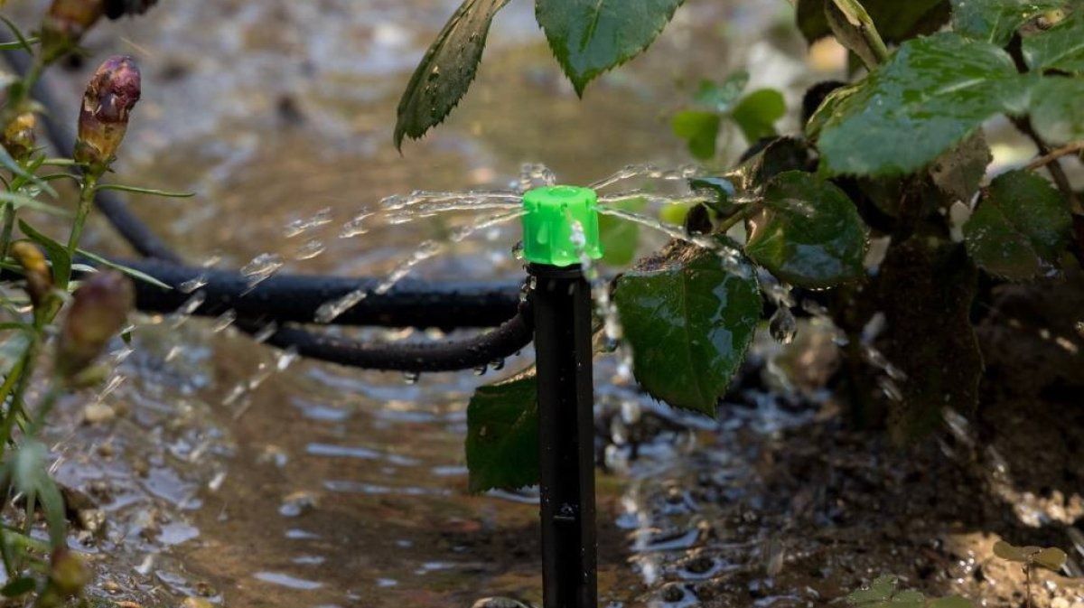 Қазақстанда мемлекеттік қолдау шараларының арқасында су үнемдеу технологияларын енгізу қарқыны бес есе жеделдеді