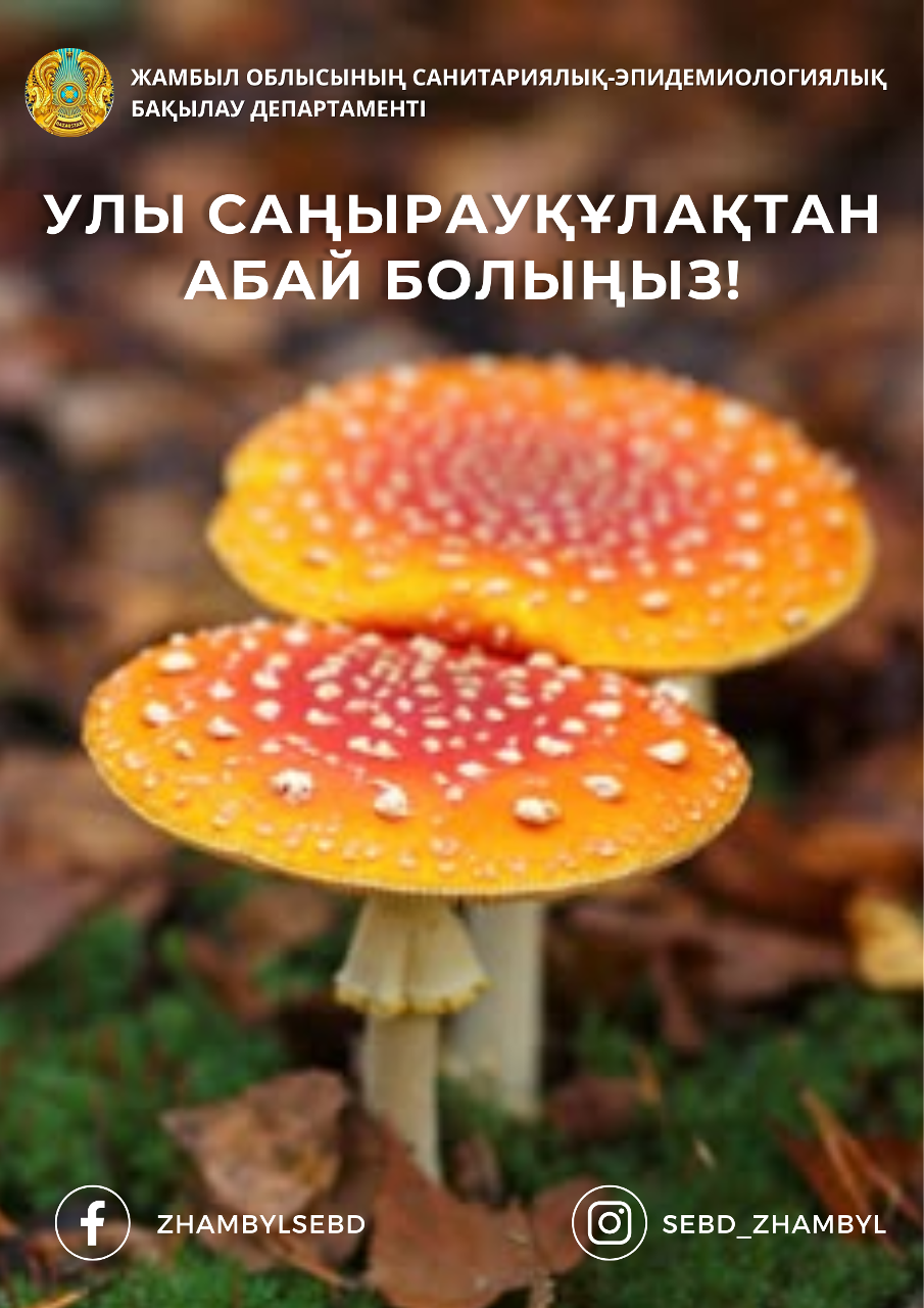 Улы саңырауқұлақтан абай болыңыз!