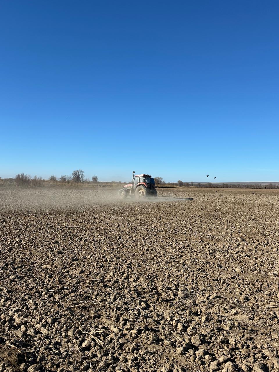 Көктемгі дала жұмыстары