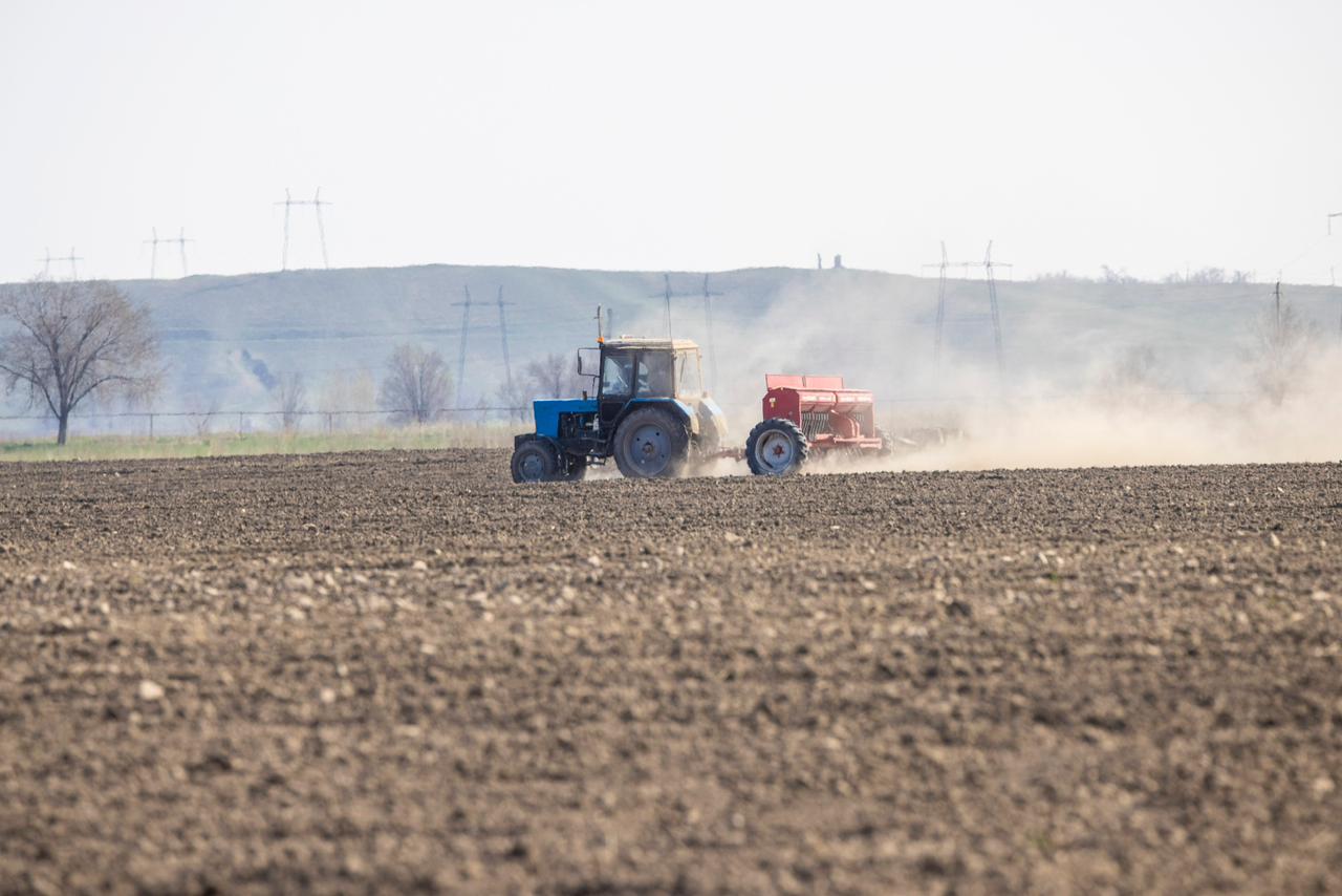 Егіс алқаптарына соқа түсті