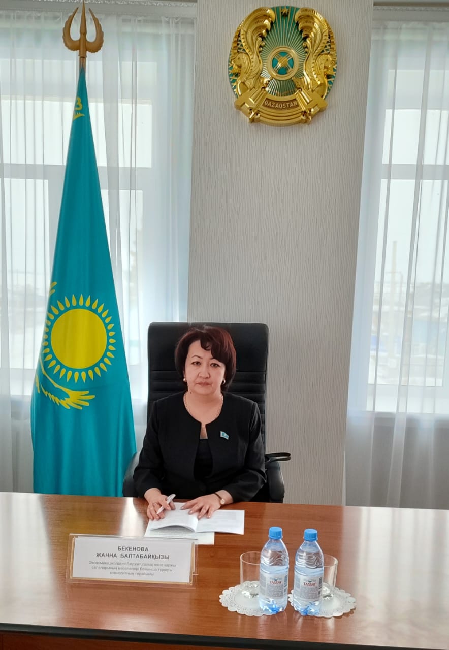 Жамбыл ауданы маслихатының тұрақты комиссияларының бірлескен отырысы