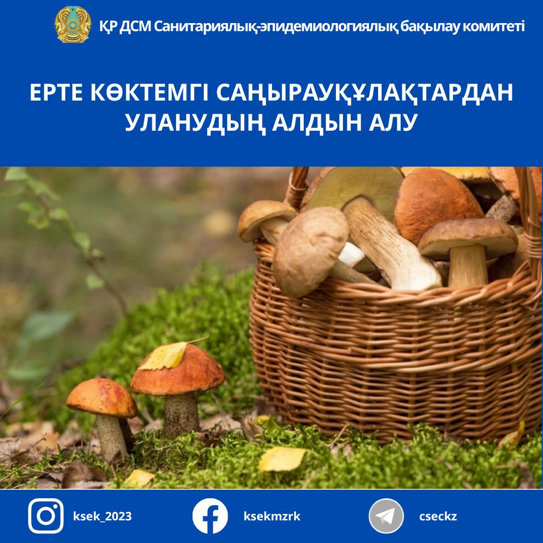 Ерте көктемгі саңырауқұлақтардан уланудың алдын алу