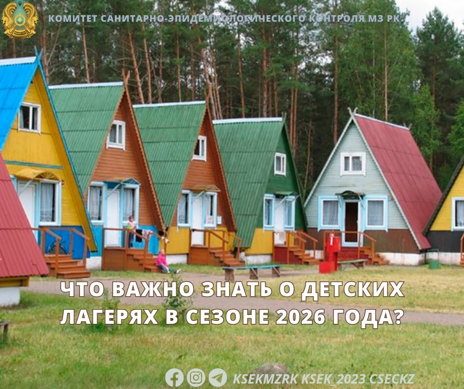 Что важно знать о детских лагерях в сезоне 2026 года?