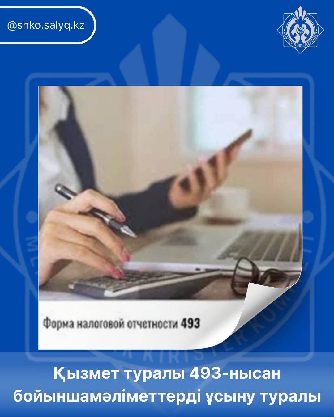 Қызмет туралы 493-нысан бойынша мәліметтерді ұсыну туралы